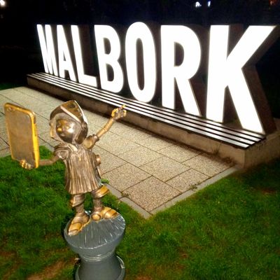 Selfie MALBORK
