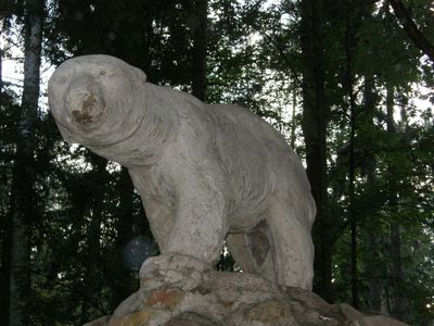 Niedzwiedz Polarny
