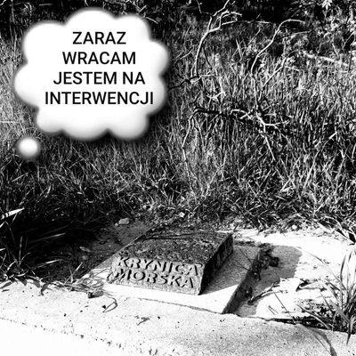 Dzik Policjant